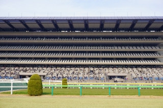 東京競馬場